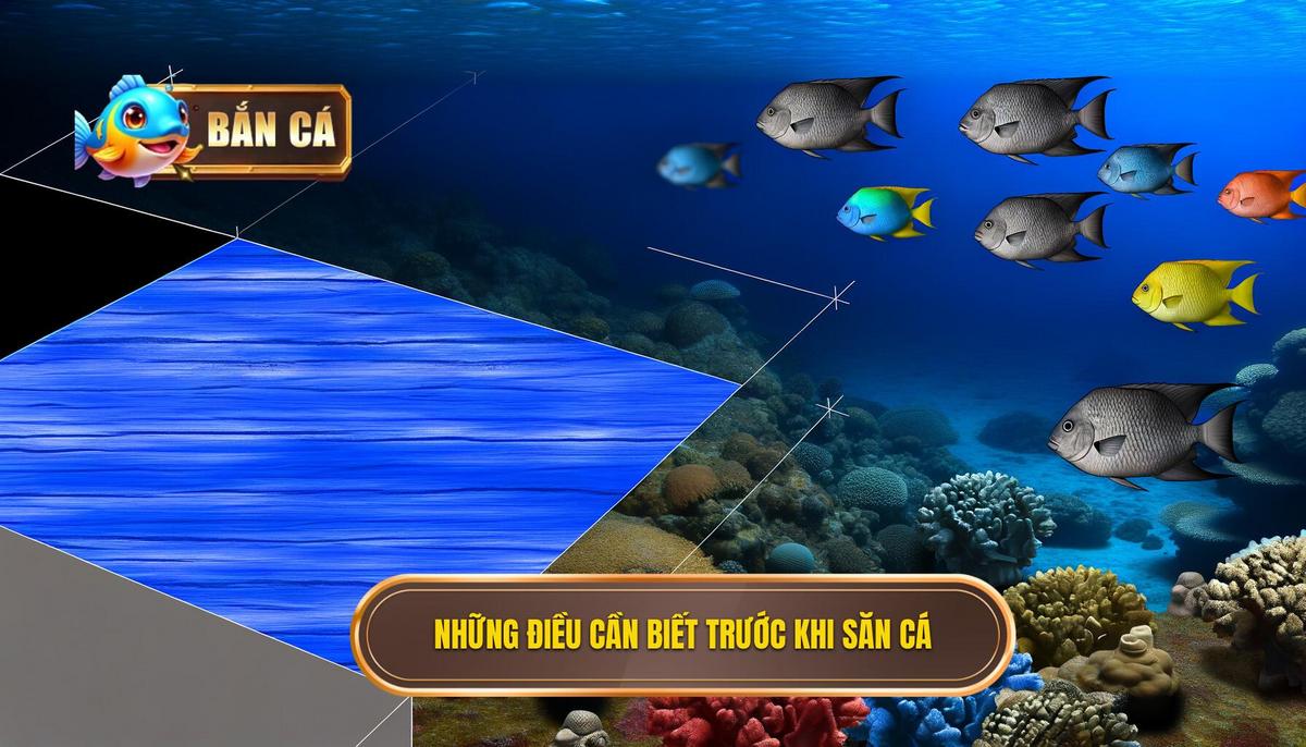 Nền Tảng Vững Chắc_ Những Điều Cần Nắm Trước Khi Săn Cá